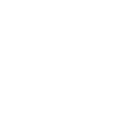 Slider item image
